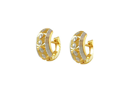 Dual Tone Plated | Fashion Earrings